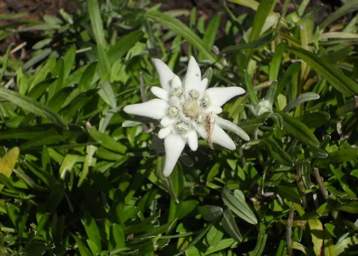 Apartamento Bacher Gertrud